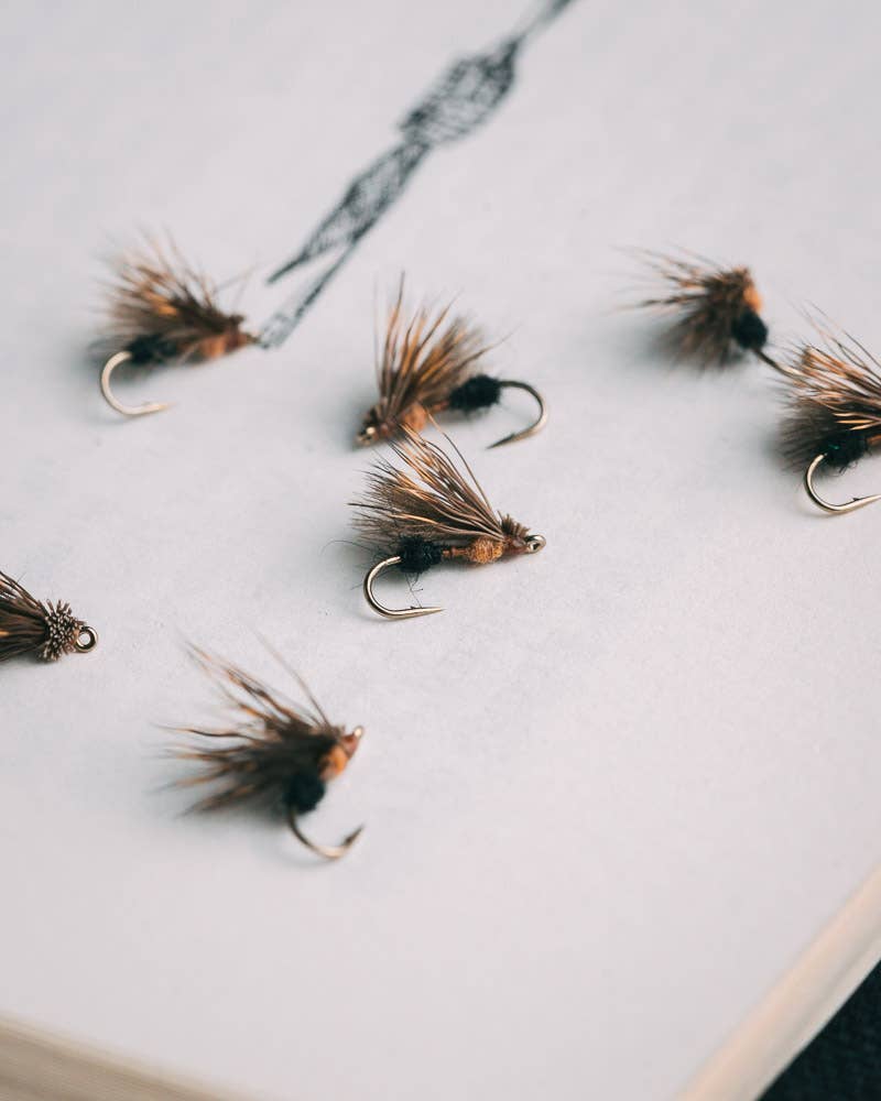 Collections - Flies - Shop