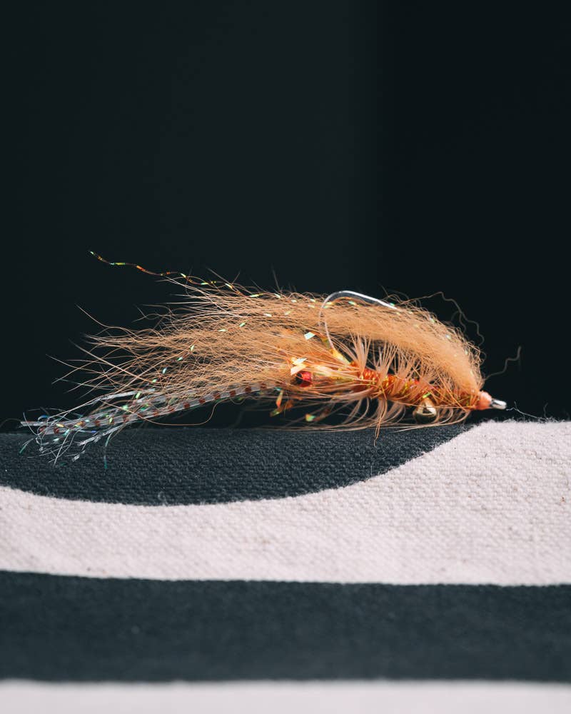 Salt - Flies - Shop