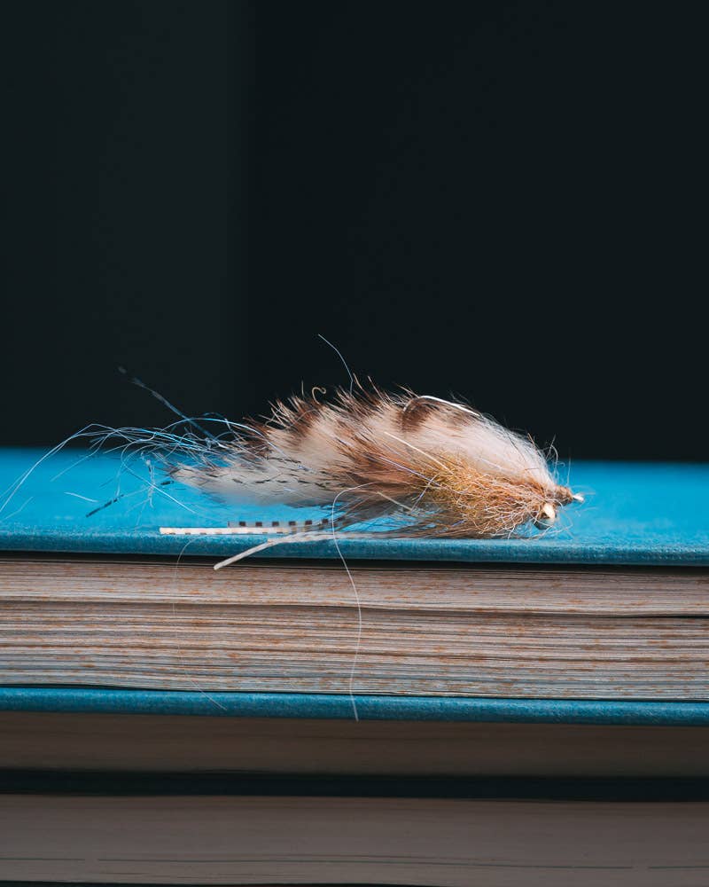 Salt - Flies - Shop