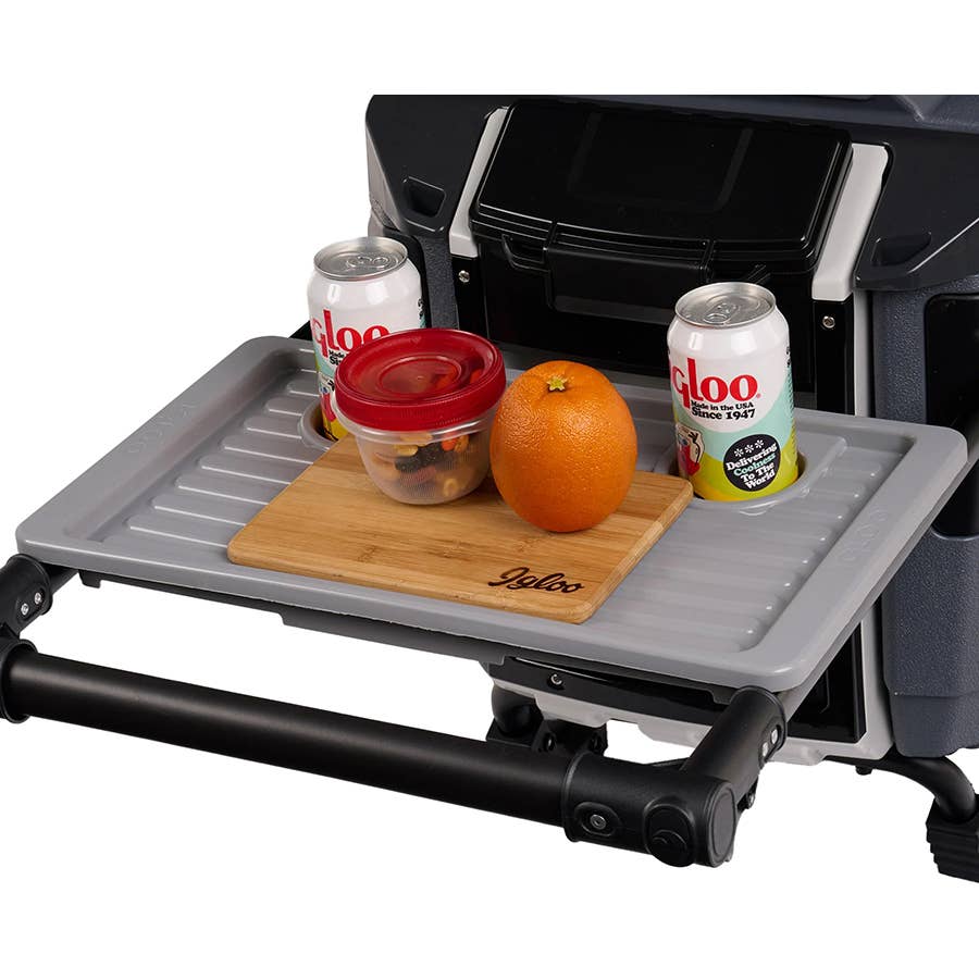 Igloo Trailmate Journey vs. Other Popular Coolers