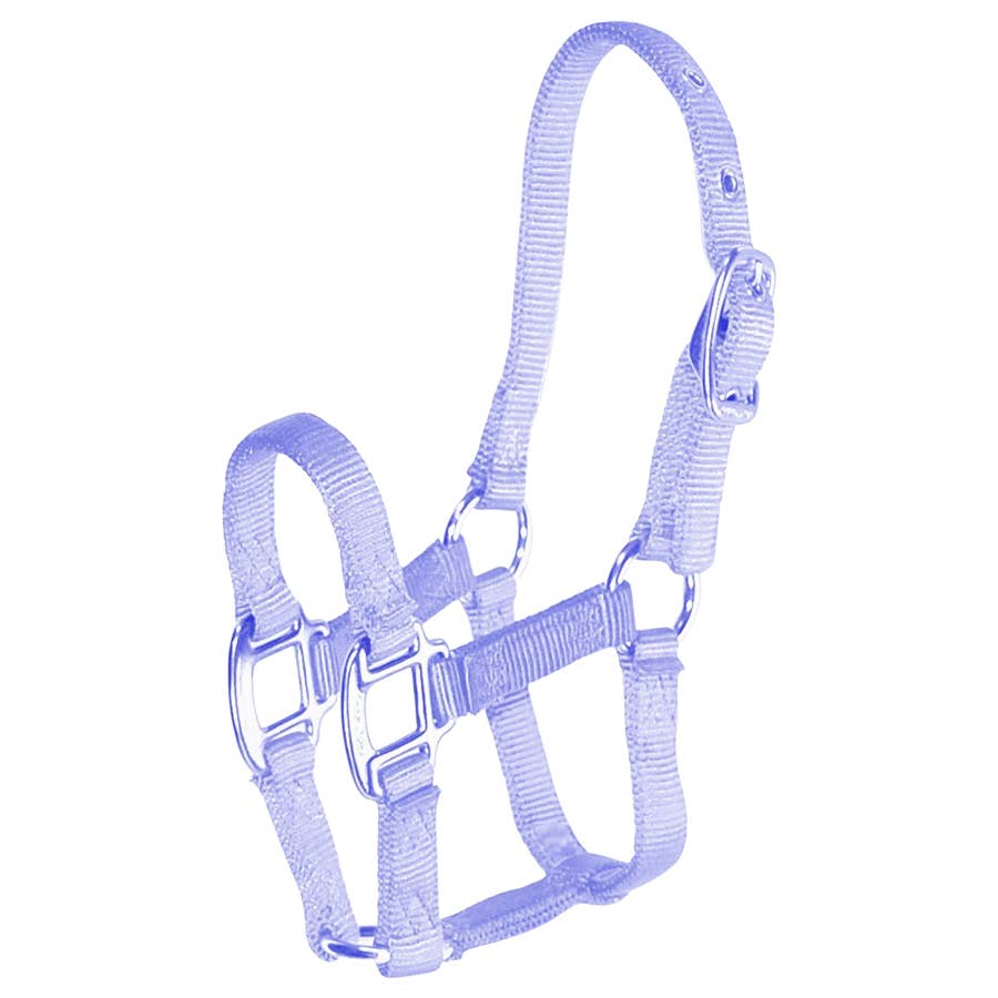 Hamilton Nylon Quality Adjustable Weanling Horse Halter Lavender 3/4""