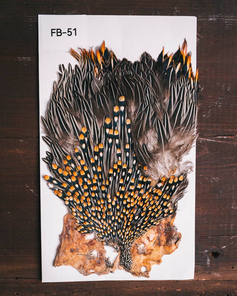 Jungle Cock Cape No. FB51