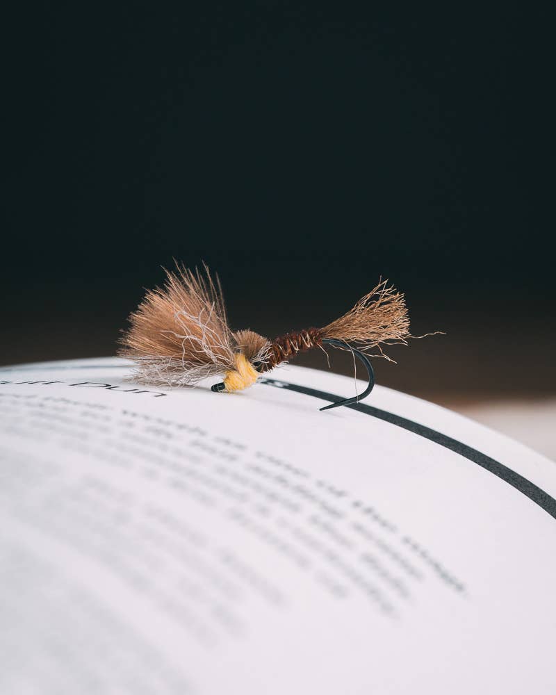 小物 BLACKFLY city of fly BLACKFLY city of fly - メンズ