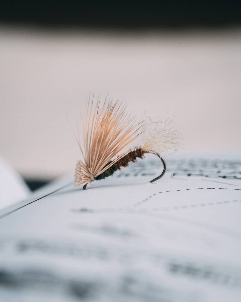 Craig Mathew's PT X-Caddis