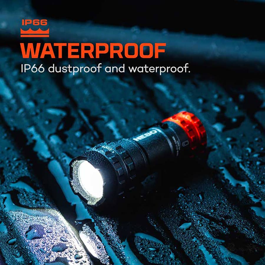 nebo 300 lumen flashlight NEBO Newton Torchy 300 Flashlight