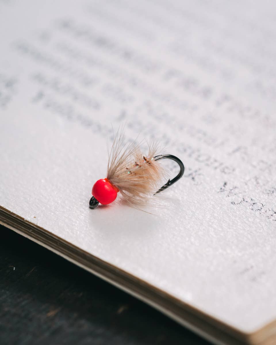 Nymph Patterns for Fly Fishing - The Fly Project | Price: $0.00