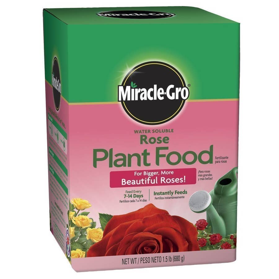 MiracleGro Water Soluble Rose Plant Food 1.5 Lbs.