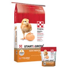 Purina Start and Grow Non-Medicated Chicken Feed