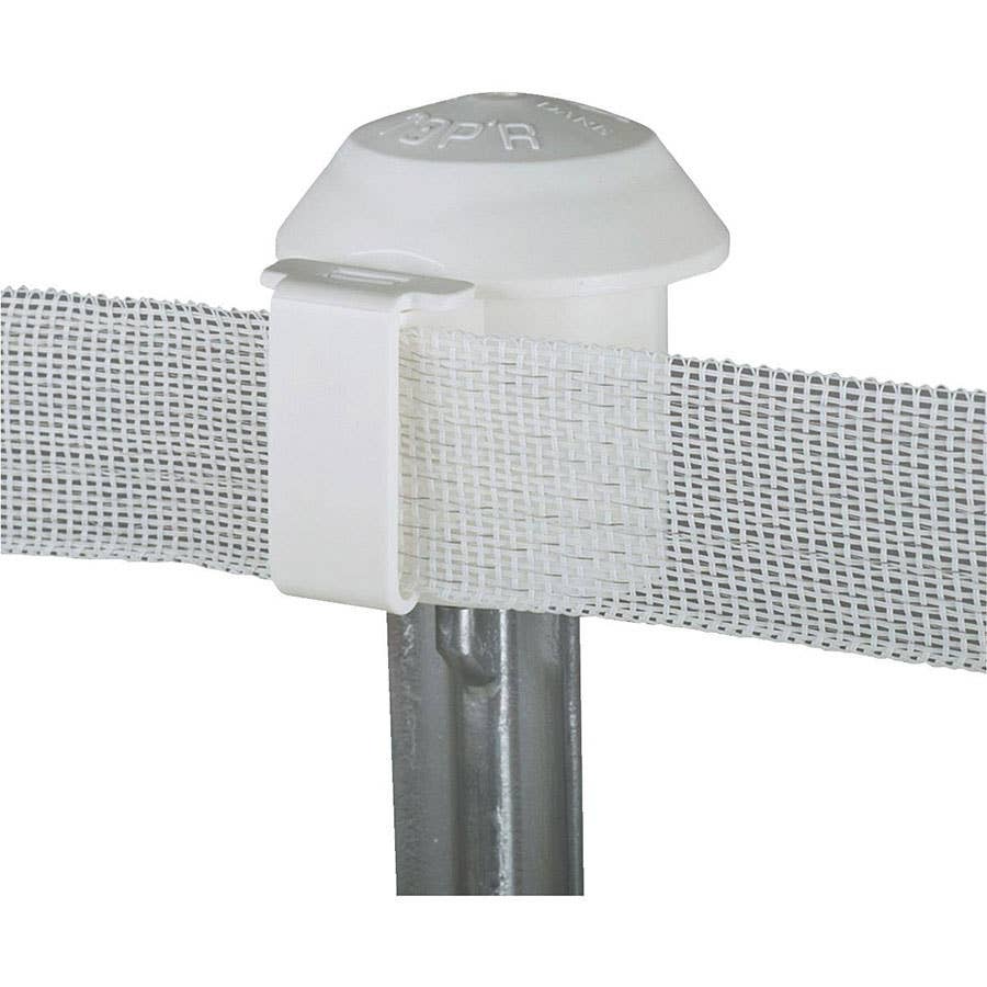 Dare TPost Top Safety Cap White 10 pk