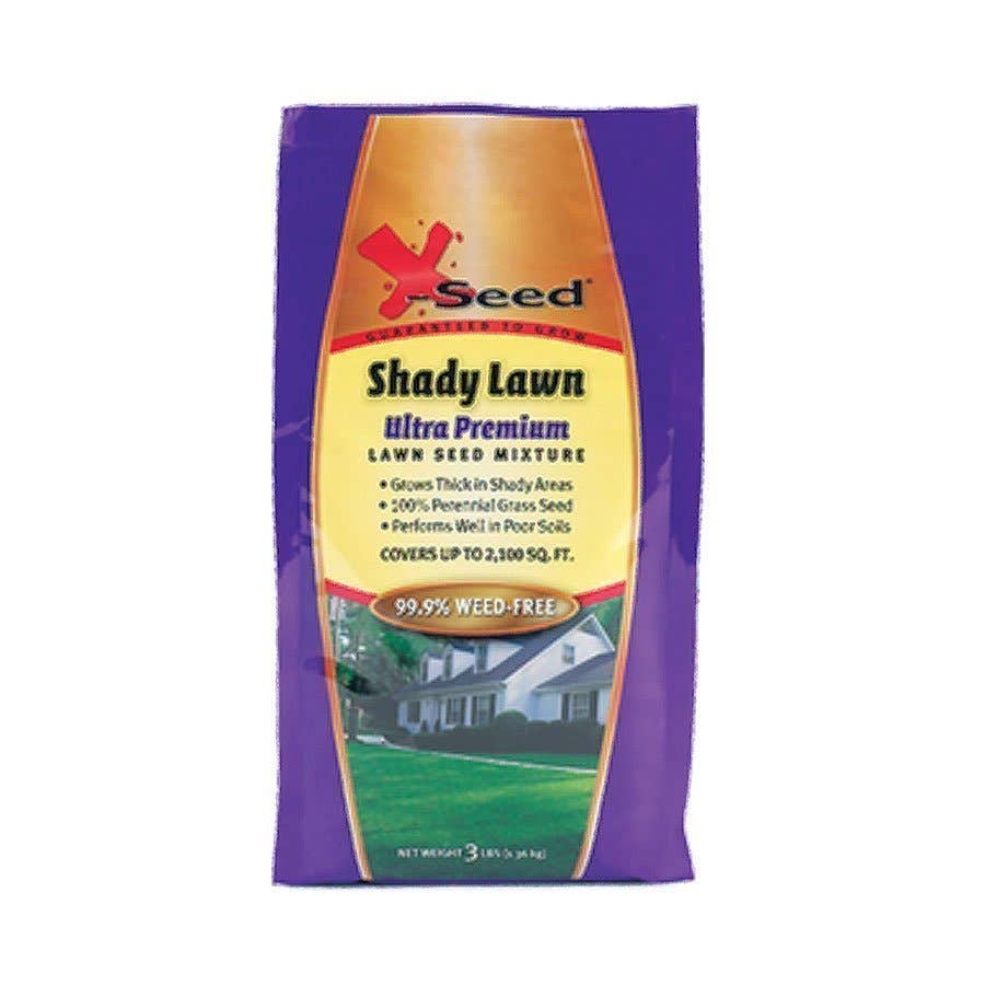 shady lawn seed