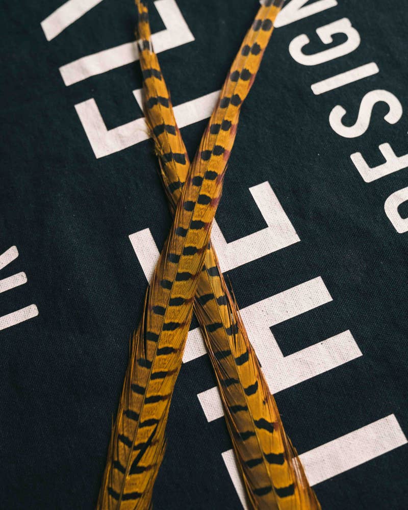 Ringneck Pheasant Tails North 40 Outfitters - Main Image