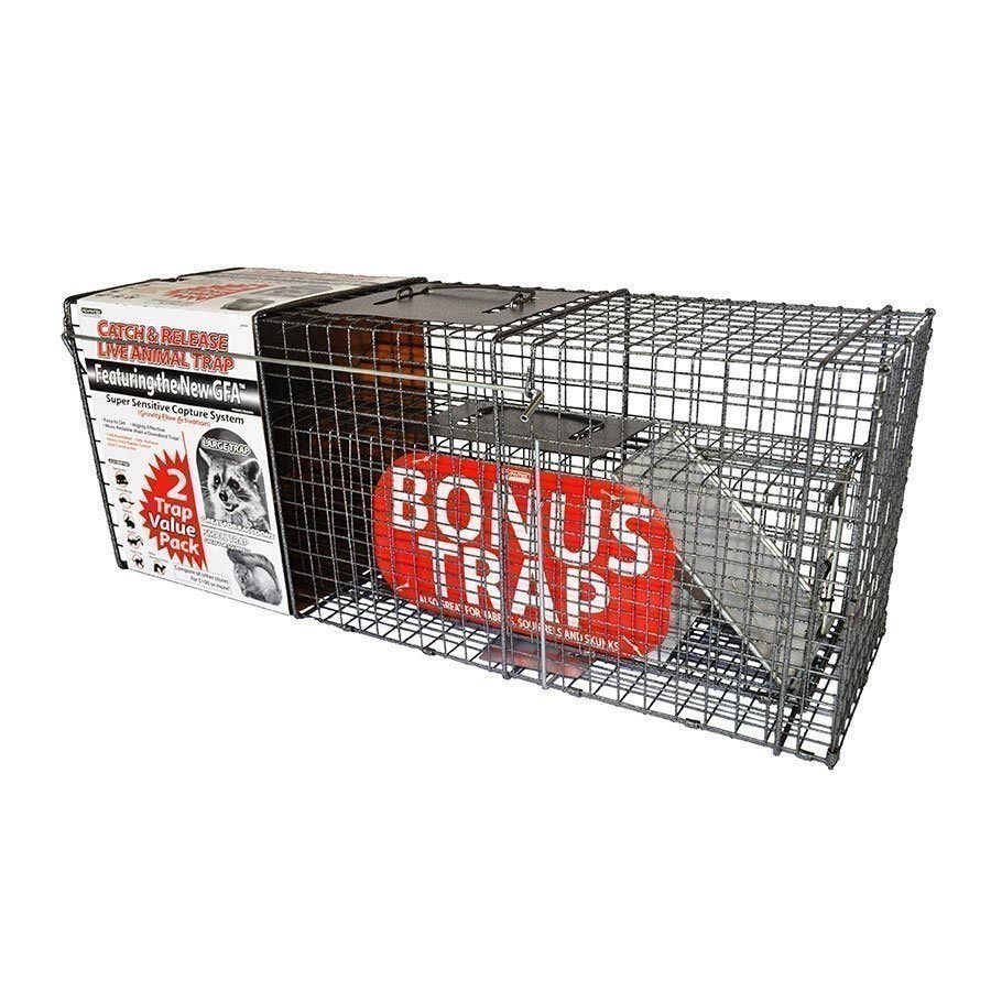 BA_advantek_catch_release_live