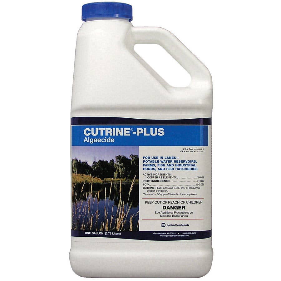 CutrinePlus Algaecide Liquid 1 gal