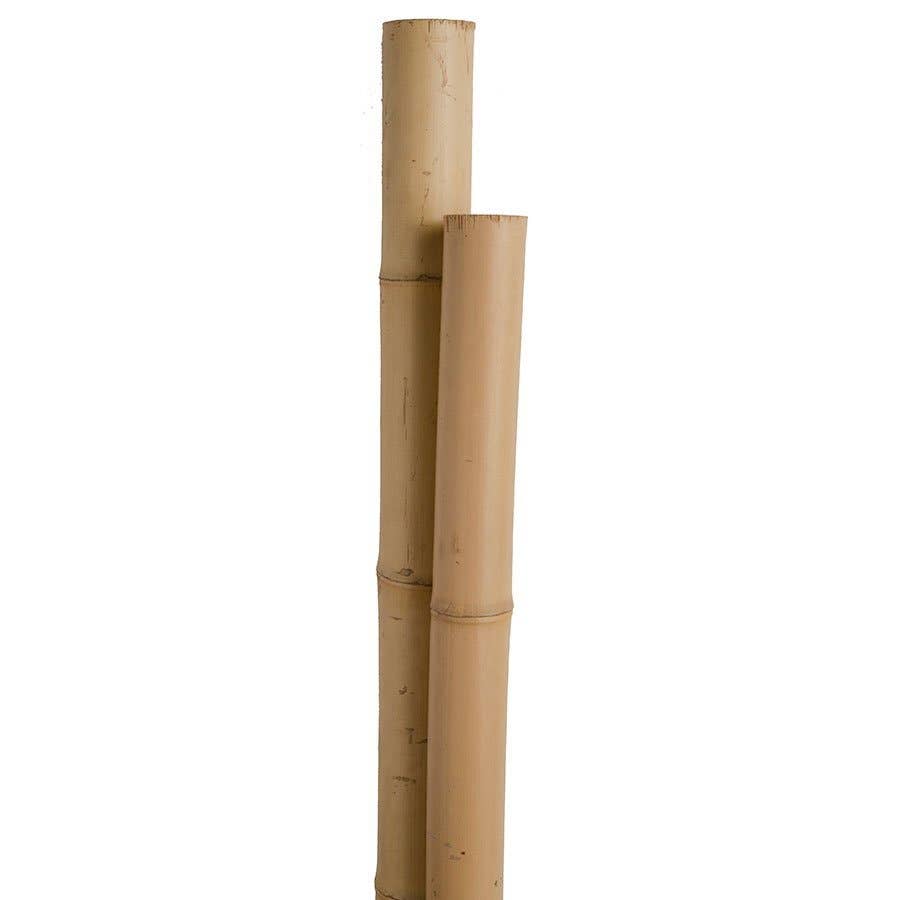 Miracle Gro Bamboo Stake