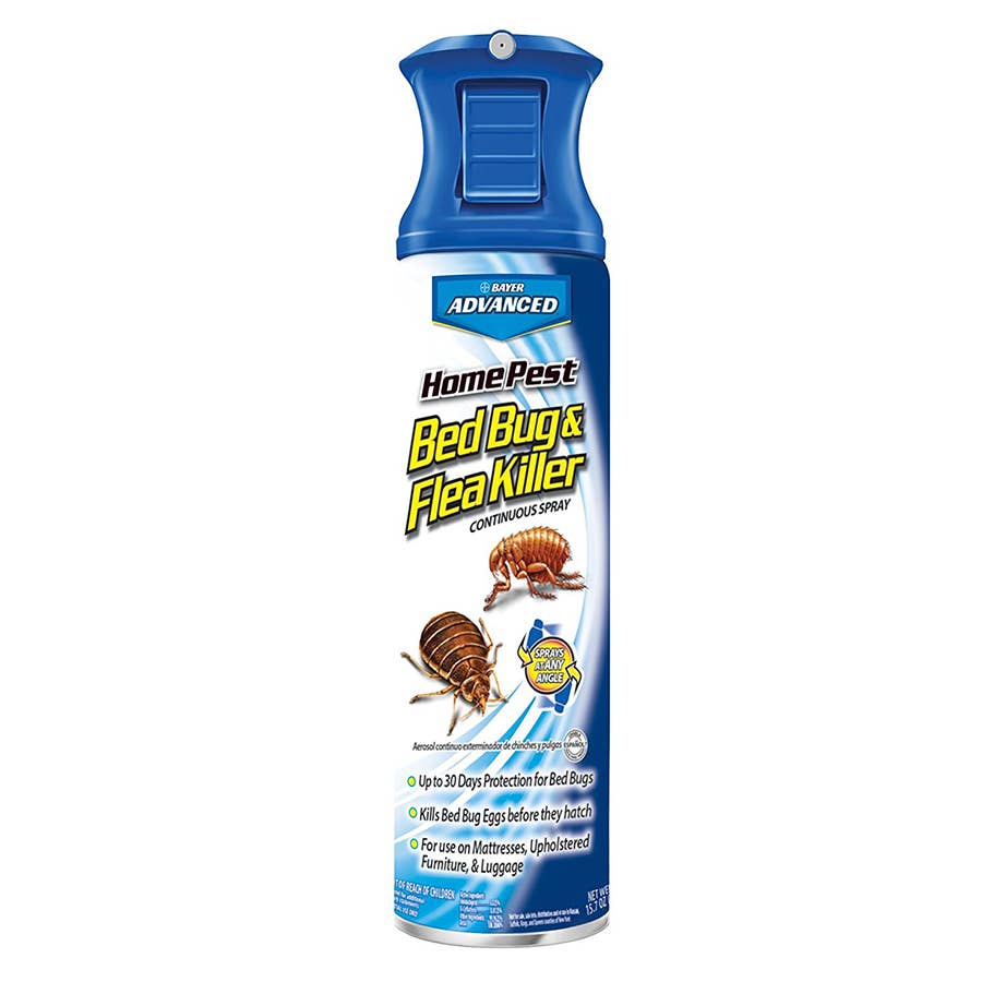 Bayer Advanced Pest Bed Bug and Flea Killer Continuous Spray