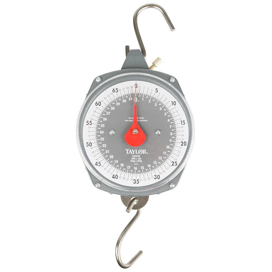 Taylor Industrial Hanging Utility Scale 70 lb