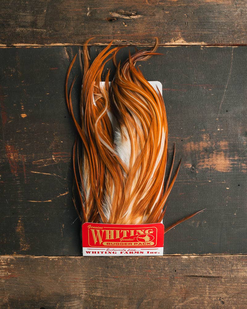 Whiting Farms Coq de Leon Hen Saddle | Motor City Anglers